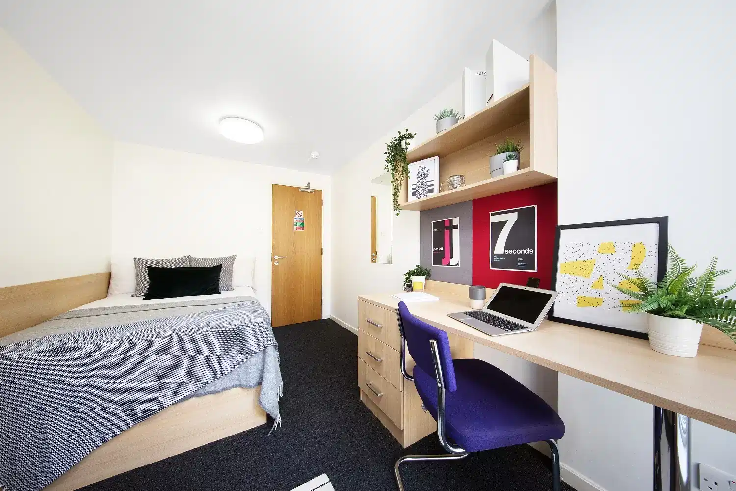 Student Accommodation - student accommodation in London