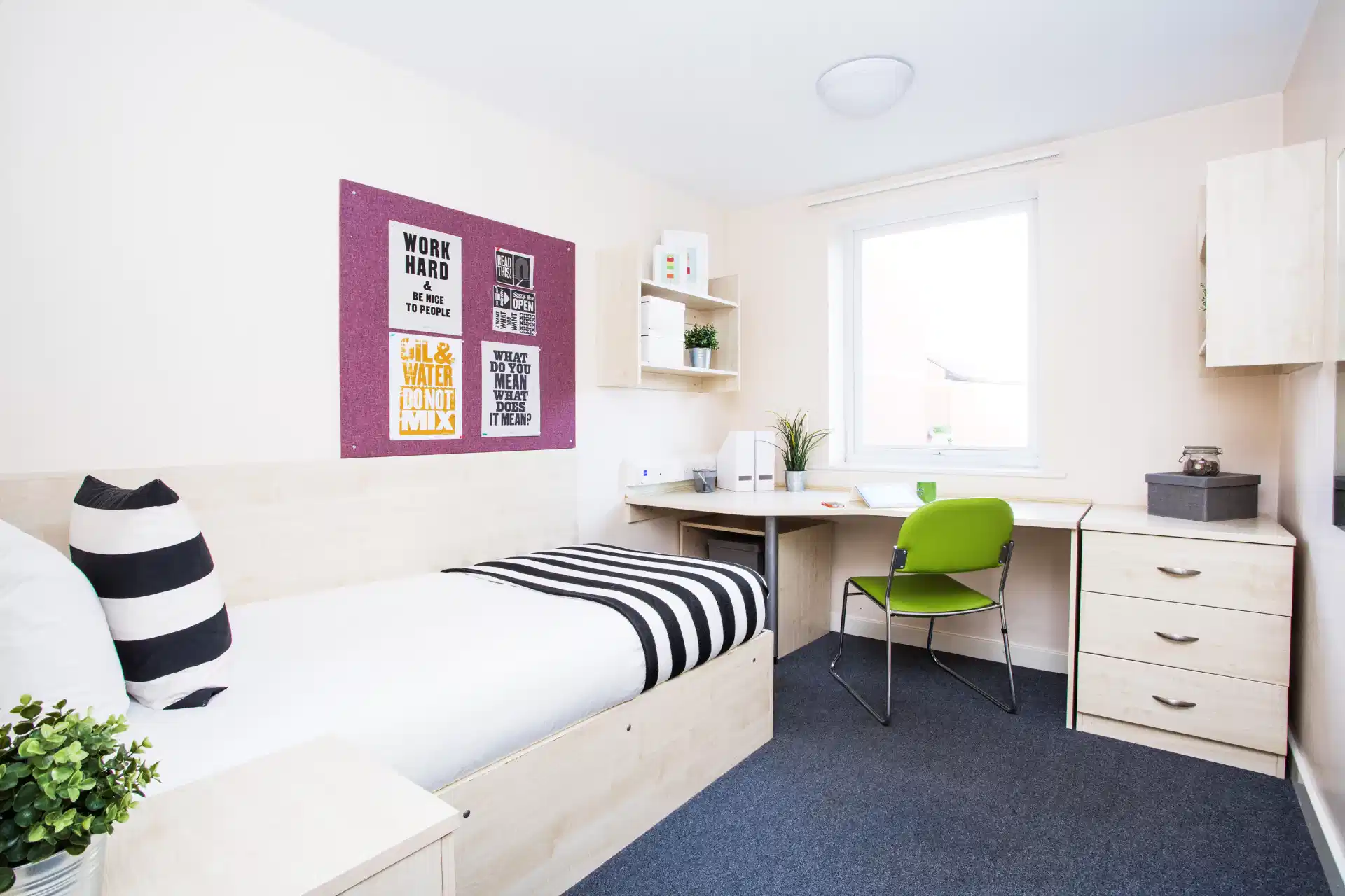 Classic Ensuite - student accommodation in Leicester