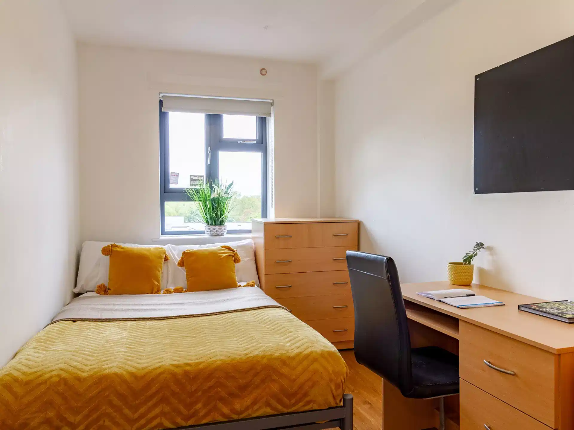 Student Accommodation - student accommodation in London