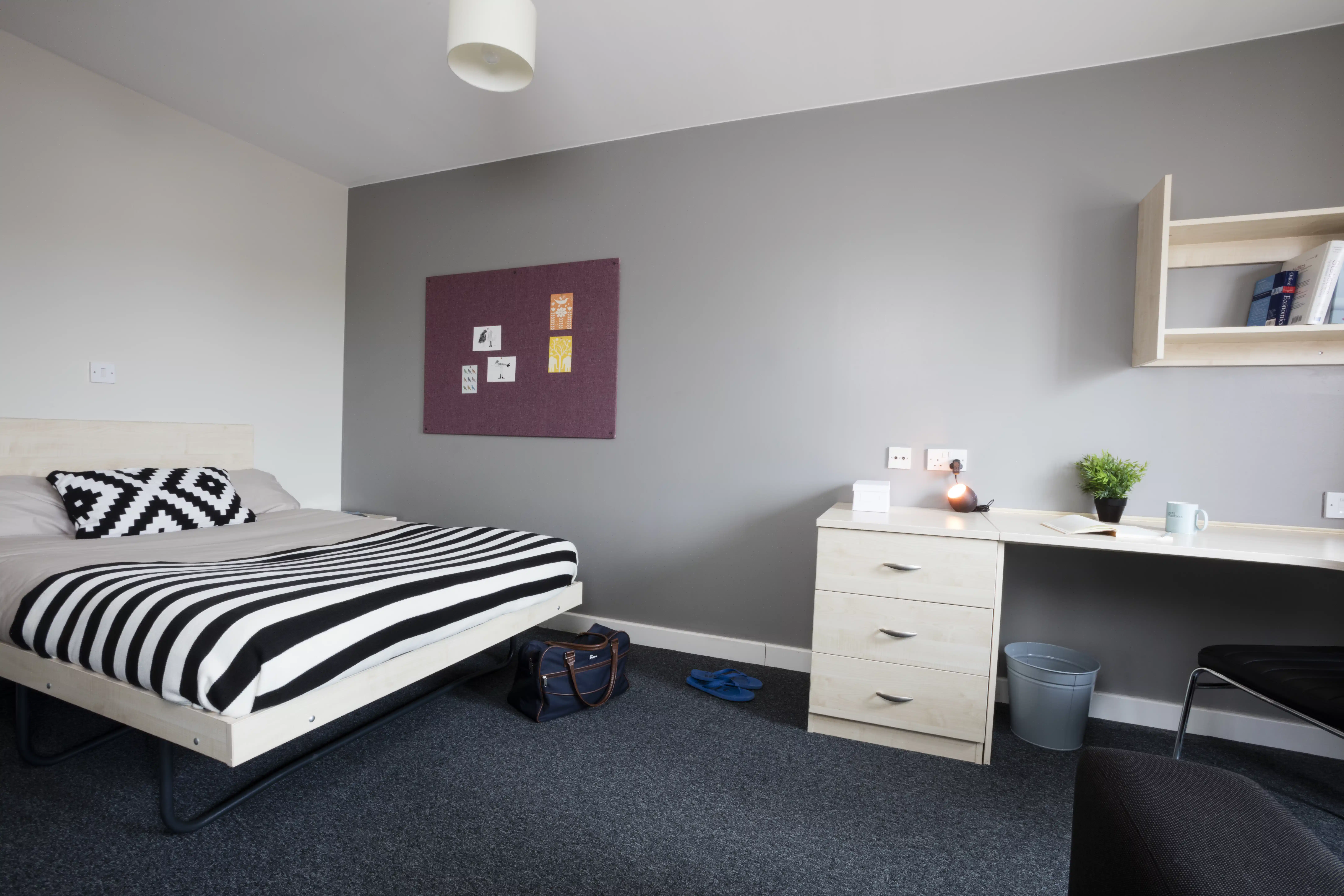 Student Accommodation - student accommodation in London