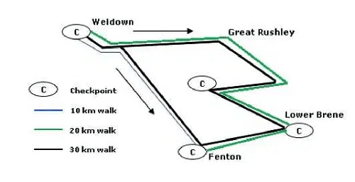 Walk
for Charity Reading Answers