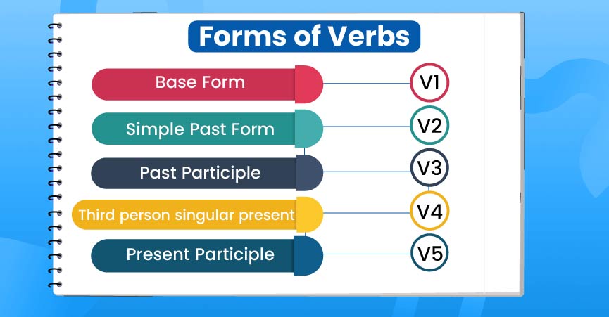 Explore different verb forms with examples| Gradding.com