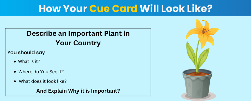 Practice describe an important plant in your country- IELTS cue card, follow-up questions, lexical resources & tips | Gradding.com 