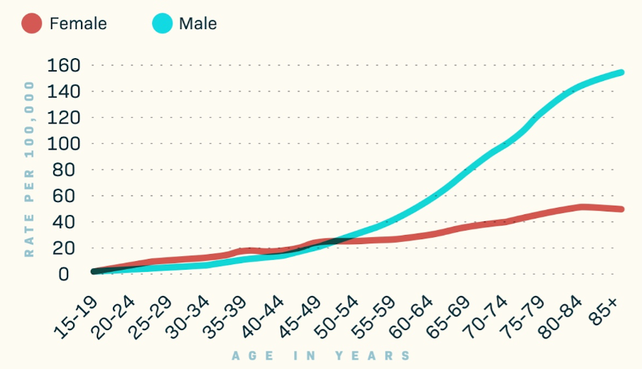 Describe Image PTE Line Graph Sample 4