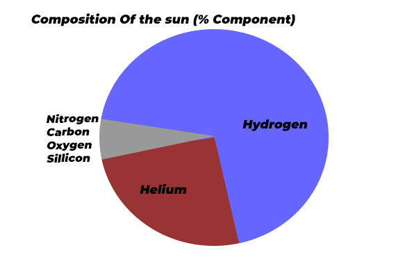 Pie Chart Describe Image PTE Sample 2