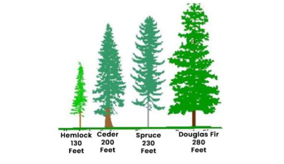 PTE Describe Image Picture Sample 5