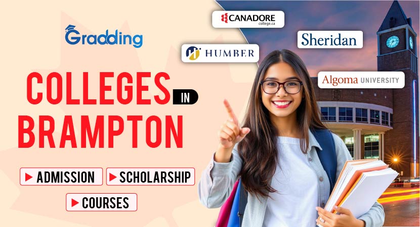 Top Colleges In Brampton For International Students